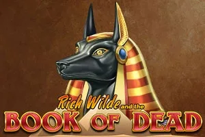 Book of Dead game artwork